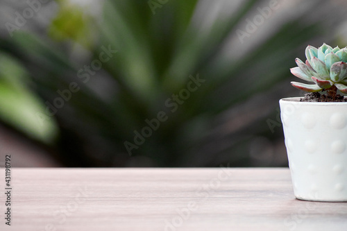 pot with plant on brown table and natural green or sand color background photo