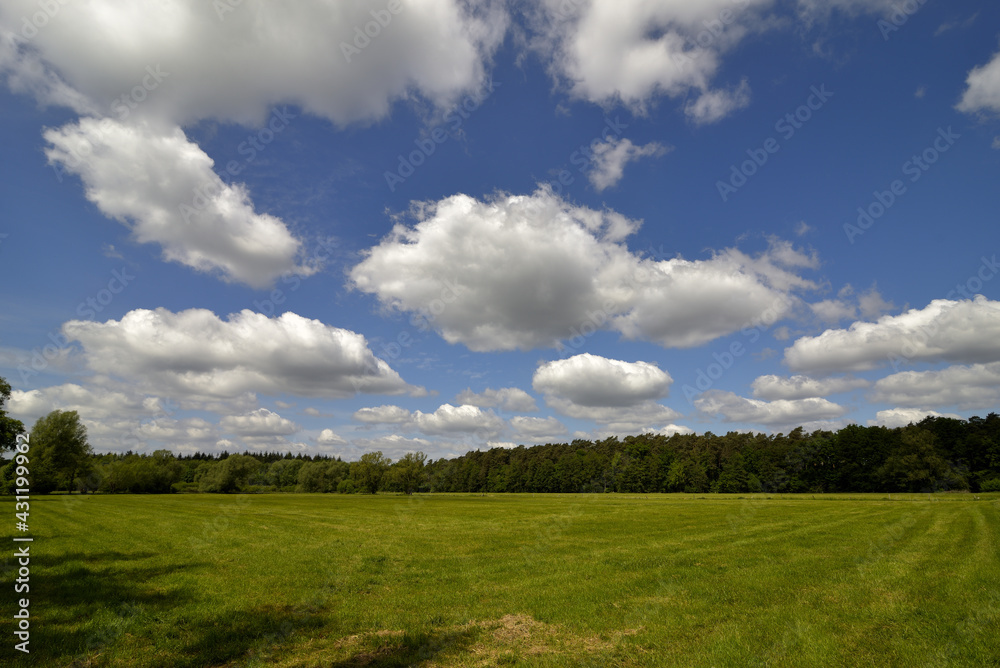 Green landscape in sunshine with blue sky and white clouds Green landscape in sunshine with blue sky and white clouds