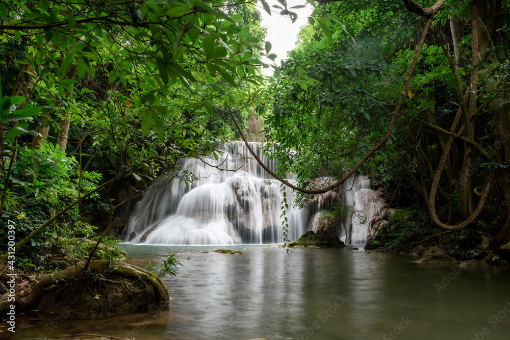 waterfall in the forest