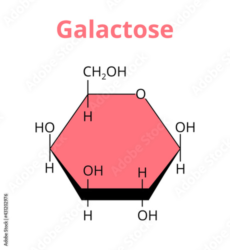 2D vector molecular structure of the monosaccharide sugar galactose that forms a lactose molecule. Milk sugar. The structural formula of d-galactose, β-d-galactopyranose isolated on white background. photo