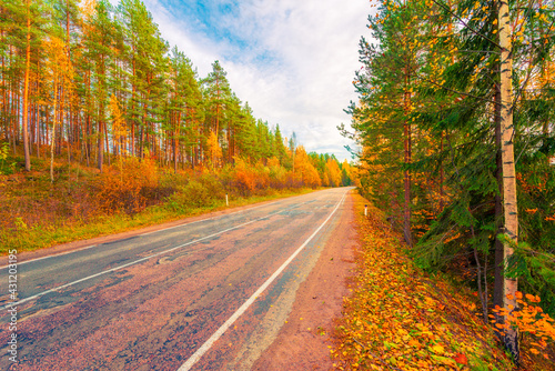Turn the country broken road. Mixed forest. Cloudy weather. Autumn weather. Beautiful nature. Russia  Europe. View from the side of the road.