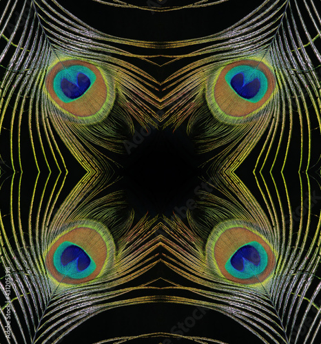 straussenfedern gespiegelt