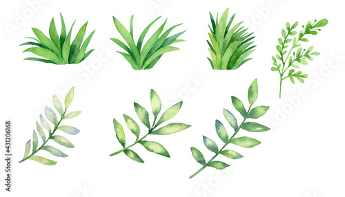 Watercolor set of green grass and branches isolated on white background.