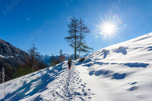 Dolomiti, Alpi, Trentino Alto Adige, Val di Fiemme photo