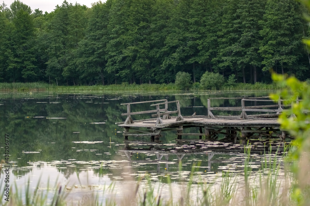 Krajobraz z jeziorem i pomostem na tle pięknego nieba i bujnej roślinności
Krajobraz z jeziorem i pomostem na tle pięknego nieba i bujnej roślinności