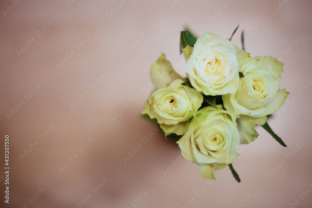 Roses Roses