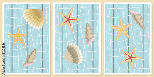 seashells and starfish - wall art vector set.  For wall art, poster, wallpaper, print. 
