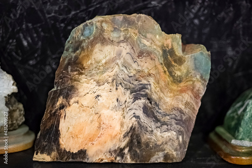 Beautiful cut in stone. close-up of stromatolite stone