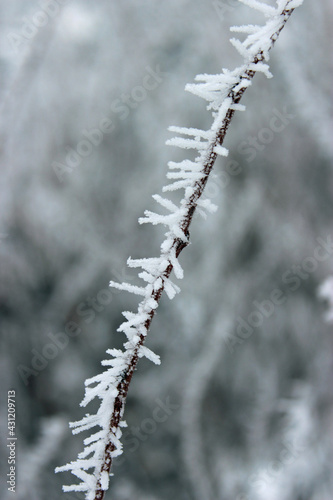 Amazing winter scenes from a snow and ice storm © Susie