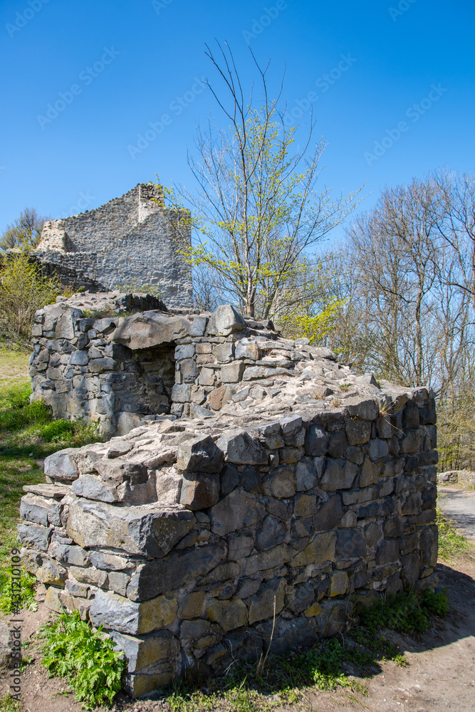 Old ruins of the Löwenburg in the Siebengebirge