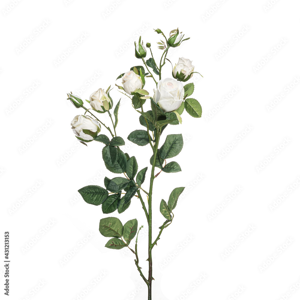 Realistic flowers and plants for designer compositions and interior decoration of residential and office premises. White isolated background Realistic flowers and plants for designer compositions and interior decoration of residential and office premises. White isolated background
