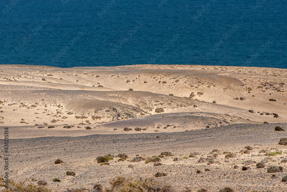 Desert picturesque landscape with yellow send, small busches and blue sea in nature park of Jandia