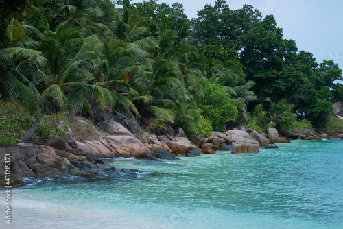 Ile