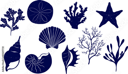 Ocean animals seashells, starfish, algae, corals, marine snails, hand-drawn vector illustration set 