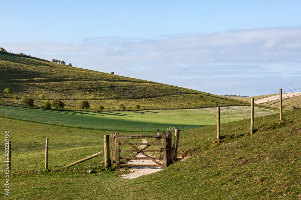A Rural Sussex Landscape