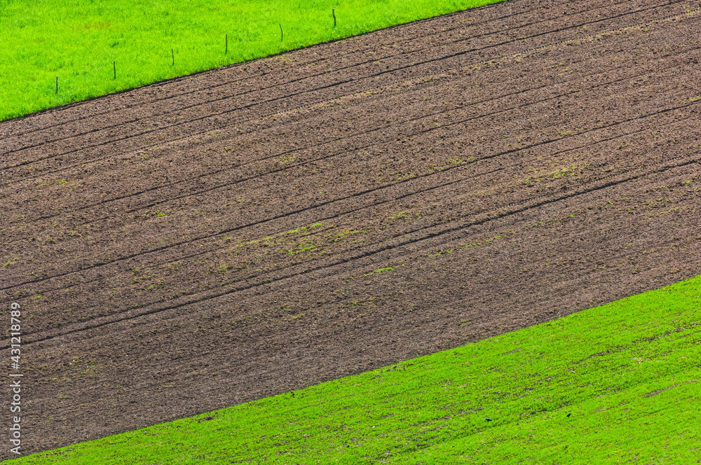 Obraz premium Plowed fields between green fields