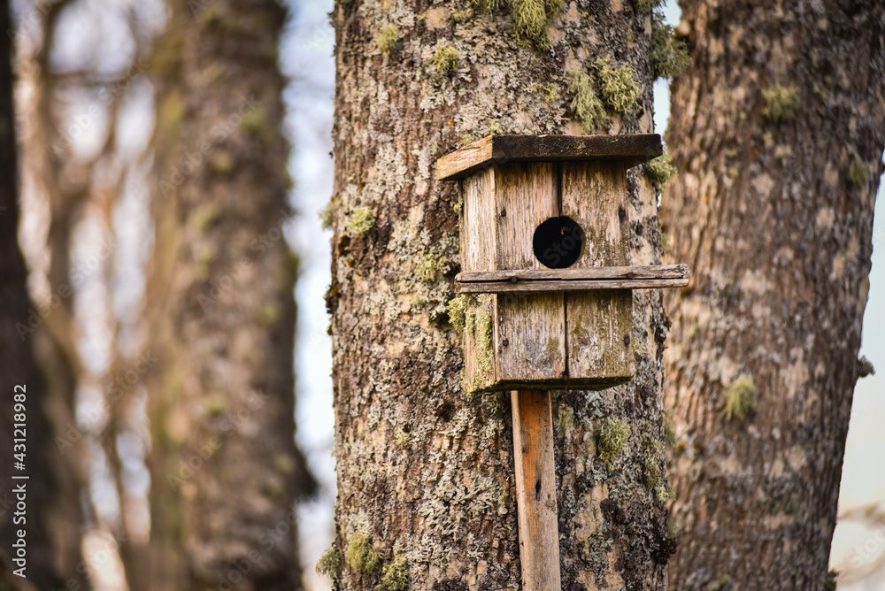 Old birdhouse covered with moss in the city park Old birdhouse covered with moss in the city park