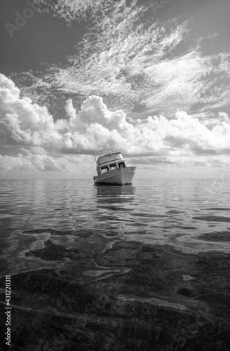 Canvas Print Forgotten