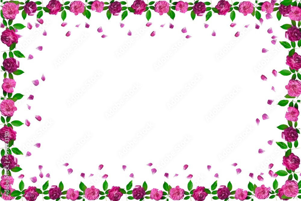 Frame of pink roses on a white background. Poster for web design, gift cards, Valentine's Day, wedding, birthday, International Women's Day, March 8, Mother's Day.