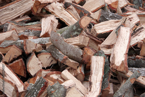 Pile of firewood chopped from a California oak tree