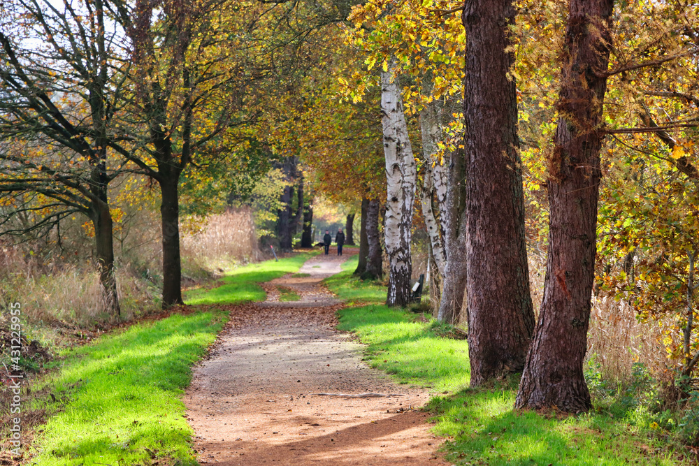 Herbst in Meppen/ Emsland