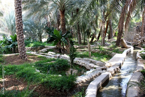 Aflaj irrigation system in Wadi Bani Khalid, Oman photo