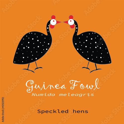 A pair of Guinea Fowl, facing each other, on orange color background. 
Lettering: Guinea Fowl, Numida meleagris, speckled hens. Unexpected Vector Illustration for cards, prints, textile and t-shirts.