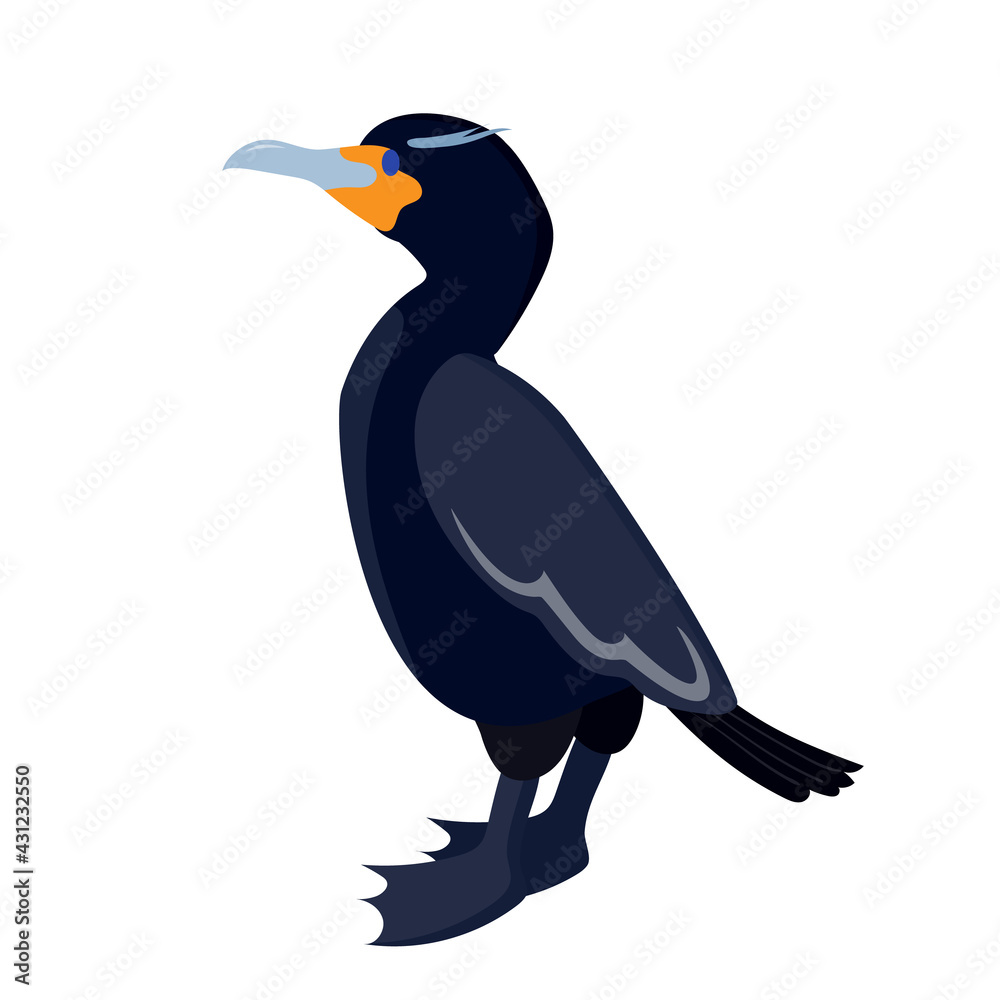 Fototapeta premium cormorant. sea ​​bird. bird on a white background. stock vector illustration.