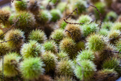 close up of Chestnuts