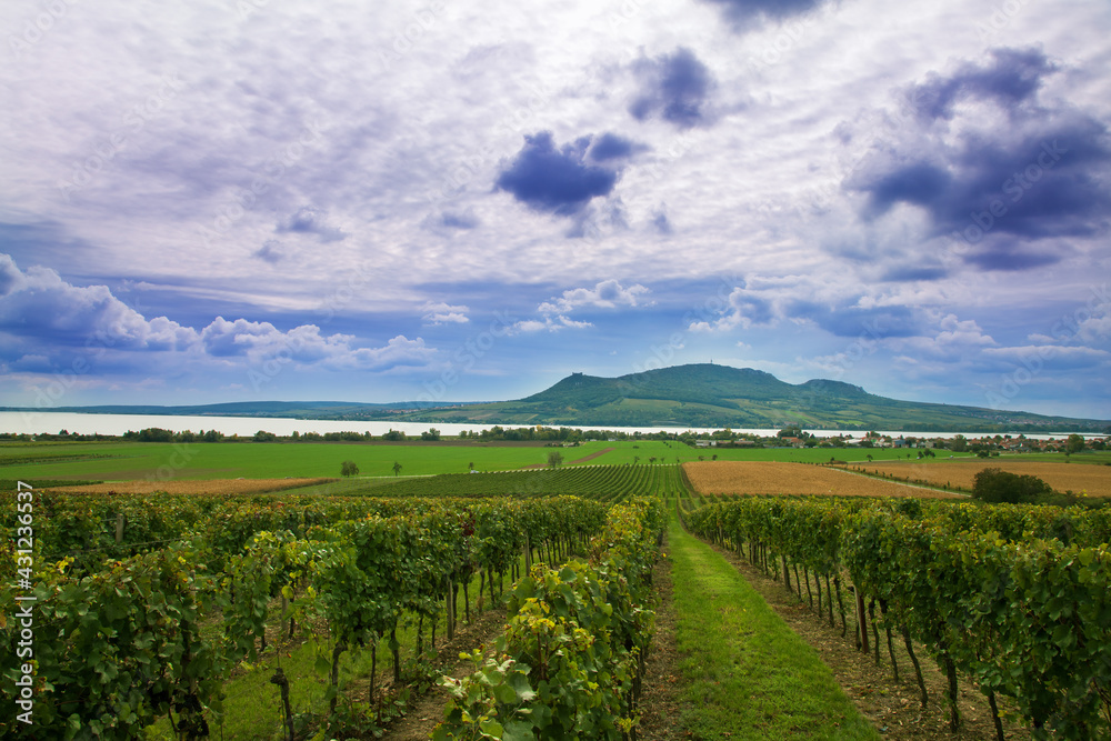 Spring landscape with a vineyard and a view of the Palava hills and Lake Musov in the Czech Republic. There are dramatic clouds in the sky. Spring landscape with a vineyard and a view of the Palava hills and Lake Musov in the Czech Republic. There are dramatic clouds in the sky.