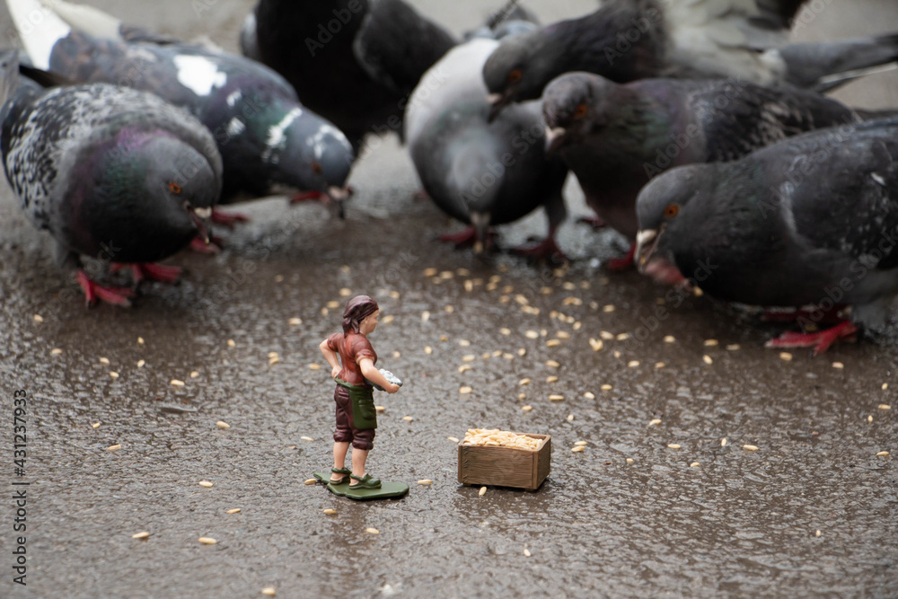Fototapeta premium Don't be indifferent. Feed the pigeons