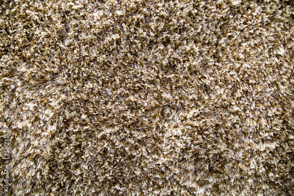 The background is made of brown and white carpet with beautiful large thread loops and a pattern of the loop structure. Design backgrounds textures interior. The background is made of brown and white carpet with beautiful large thread loops and a pattern of the loop structure. Design backgrounds textures interior.