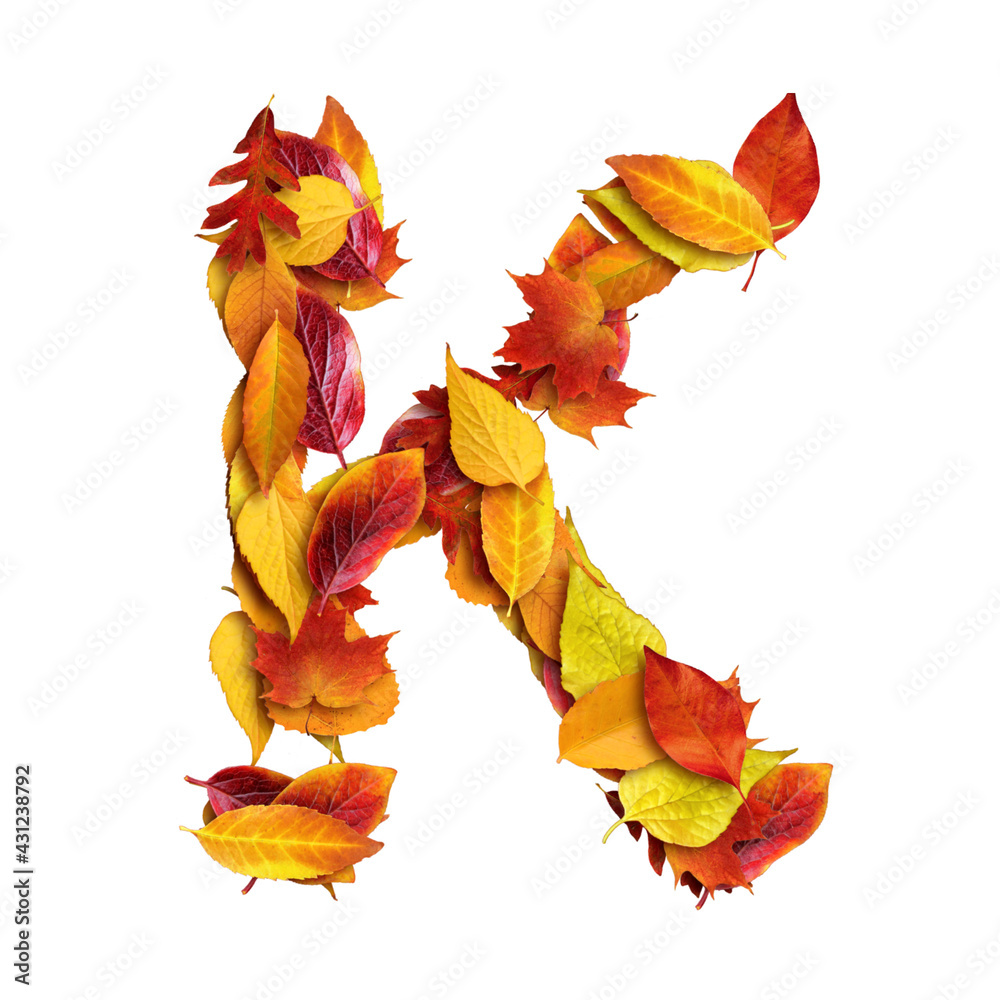 Obraz premium alphabet made of leaves, autumn, letter k