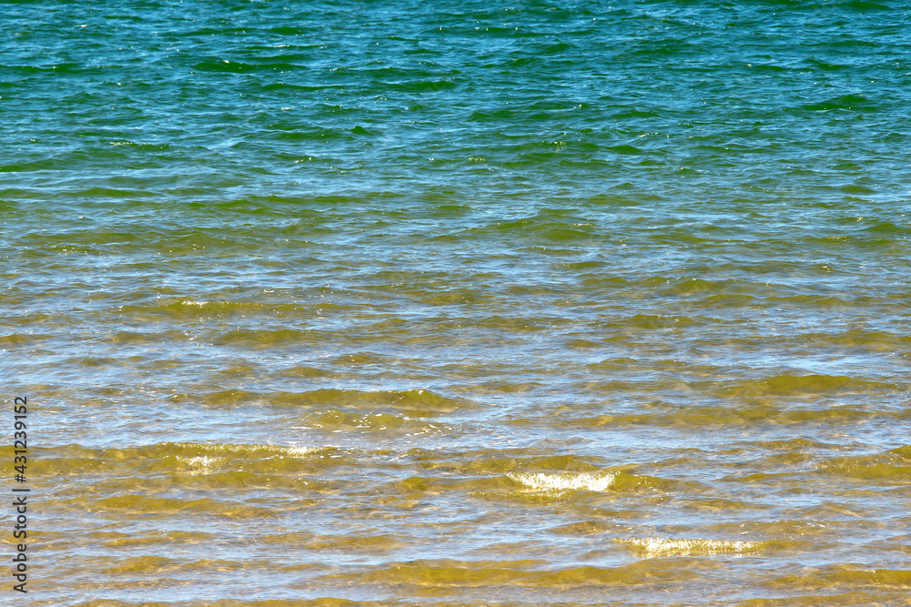 Obraz premium Beautiful marine background. Green sea water smoothly turns into yellow.