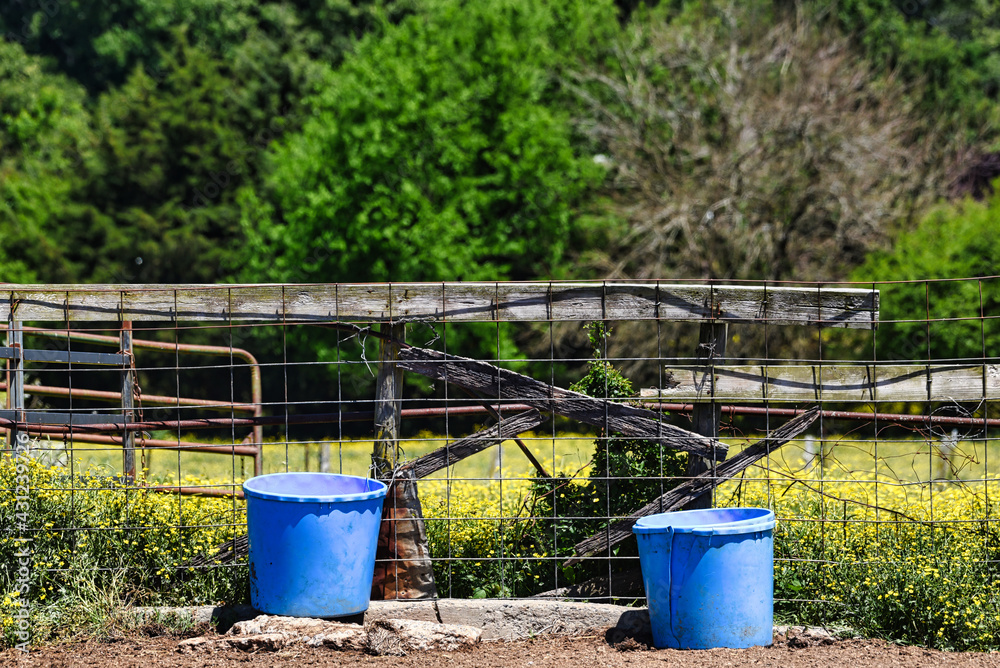 Feeding troughs on a small farm with a pasture and trees in the background. Feeding troughs on a small farm with a pasture and trees in the background.
