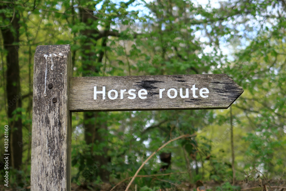 A Horse Route sign in a woodland scene