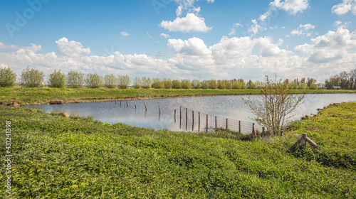 Dutch landscape with a fence in the water of a small lake. Many fresh green nettles grow on the bank. It is a cloudy day in the spring season.