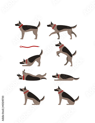 German Shepard dog training behavior