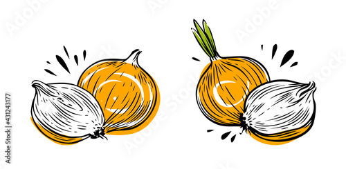 Onion whole and sliced. Vegetables symbol vector illustration