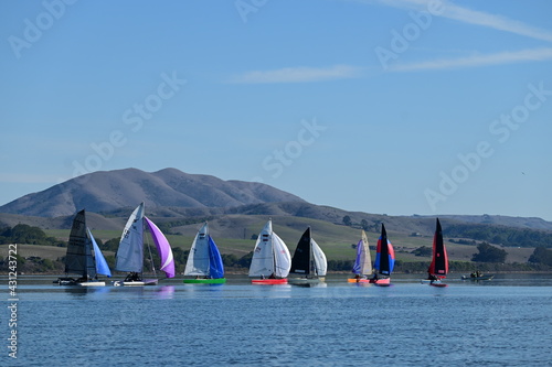 Sail boats in a race in a beautiful landscape
