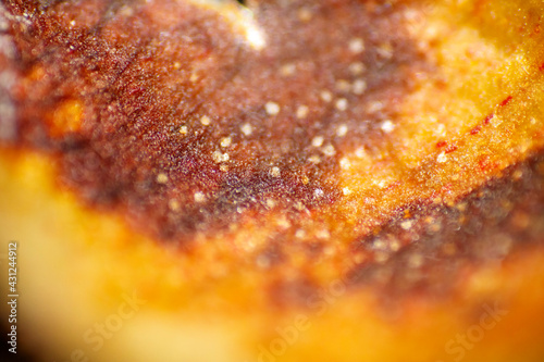 Miniature World: Exploring the Macro Universe