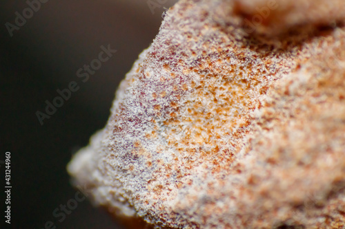 Miniature World: Exploring the Macro Universe