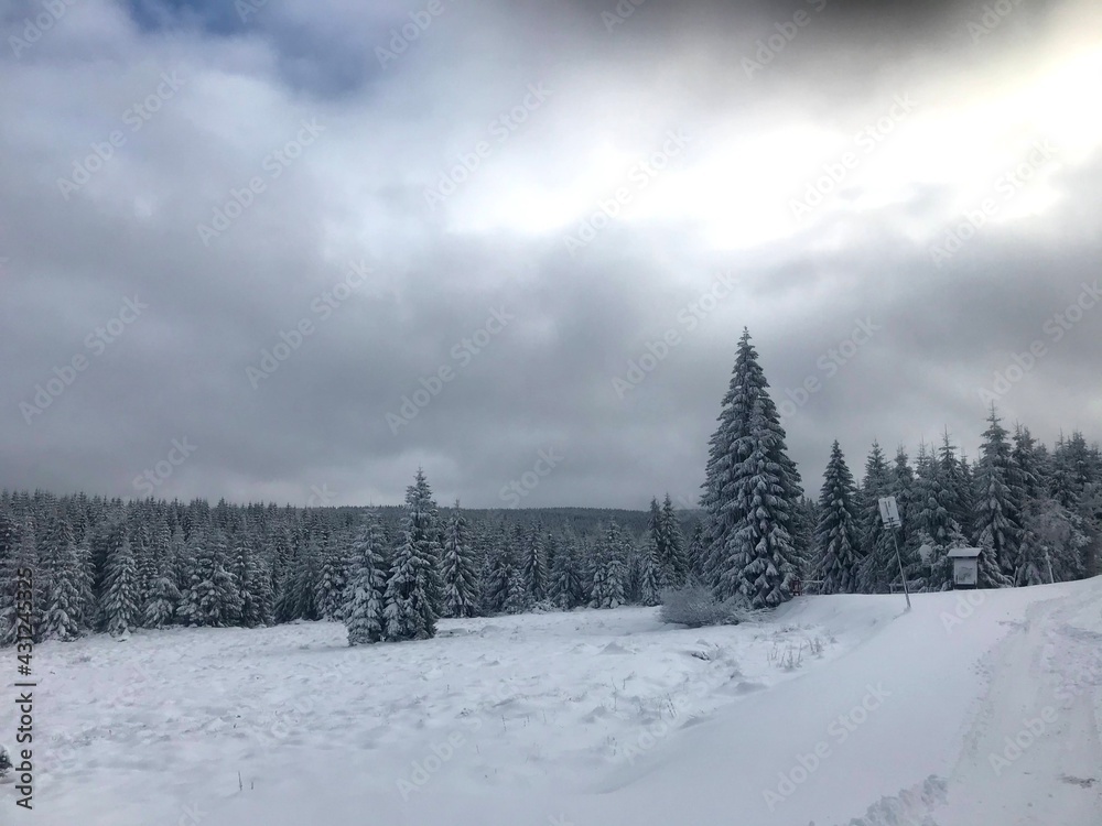 snow covered mountains