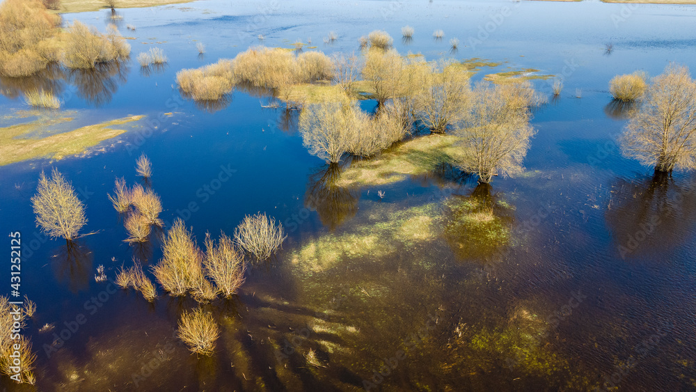 Aerial view of river flood. Beautiful flooded meadow. Flying above beautiful Pripyat river when the river is full of water at spring. Nature concept.