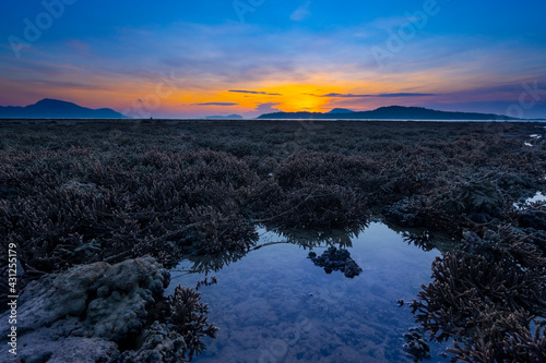 Beautiful sunset or sunrise seascape amazing cloud at sunrise light above the coral reef in Rawai sea Phuket Severe low tide corals growing in the shallows.Staghorn coral