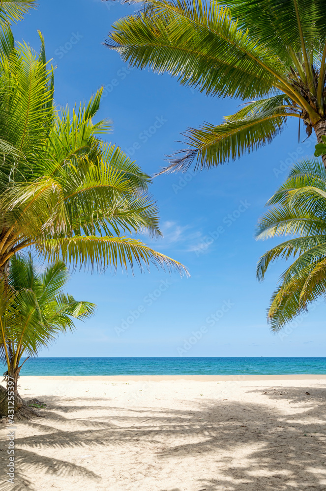 Summer background of Coconut Palm trees on white sandy beach Landscape nature view Romantic ocean bay with blue water and clear blue sky over sea at Phuket island Thailand Summer background of Coconut Palm trees on white sandy beach Landscape nature view Romantic ocean bay with blue water and clear blue sky over sea at Phuket island Thailand