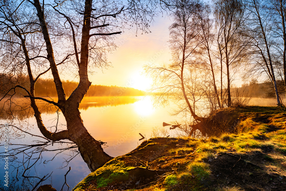 Sunrise at the lake, nature landscape with forest and water