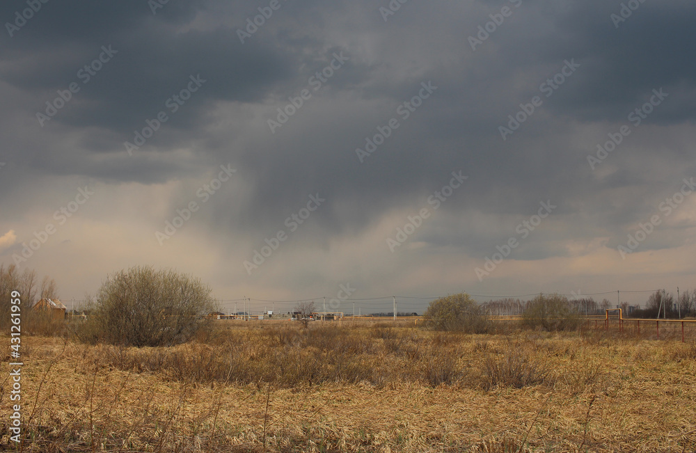 Fototapeta premium storm clouds over a field in nature with a forest landscape