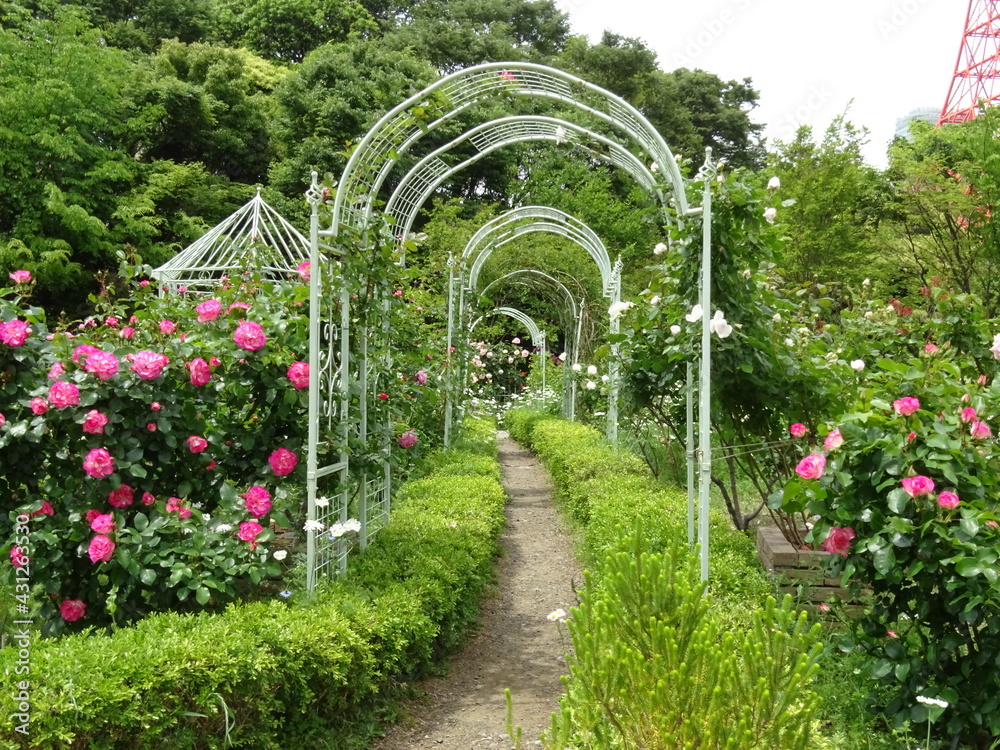 Naklejka premium 芝公園