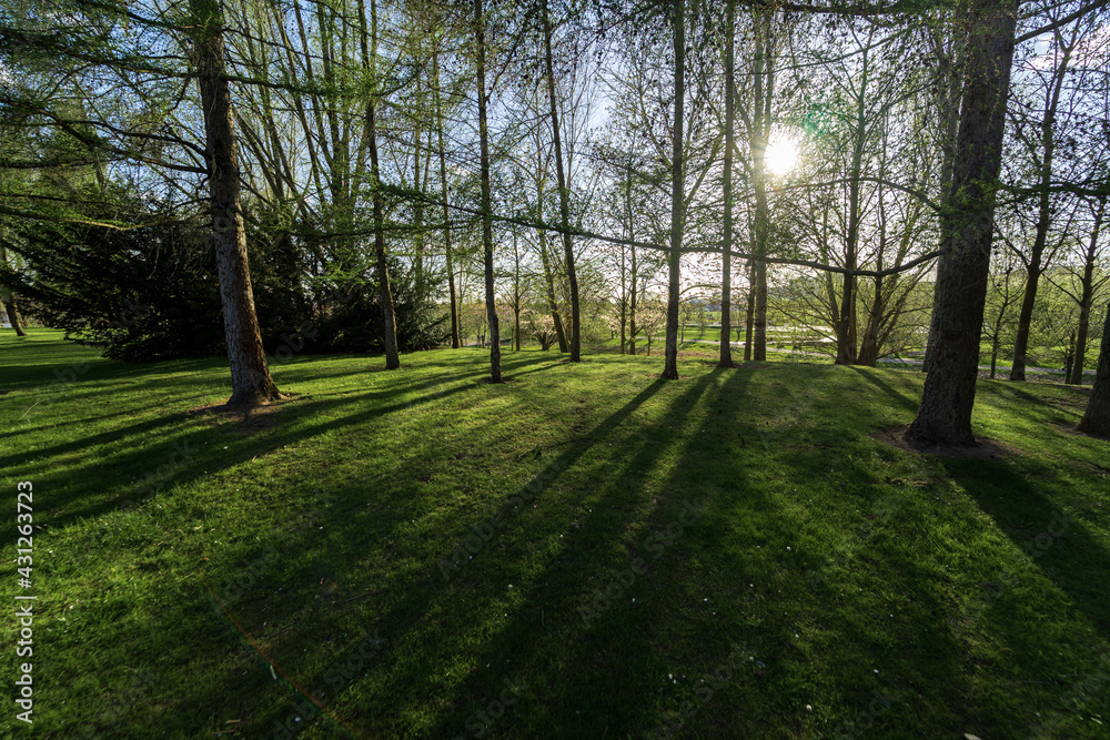 Evening sun rays in the city park. Evening sun rays in the city park.
